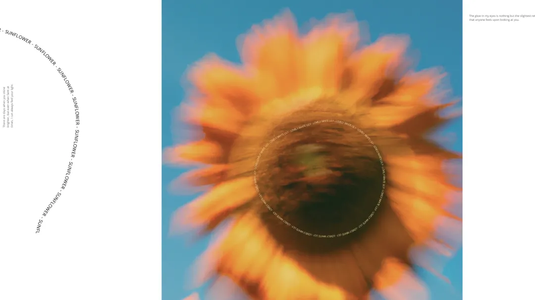 flowers-out-of-focus-1