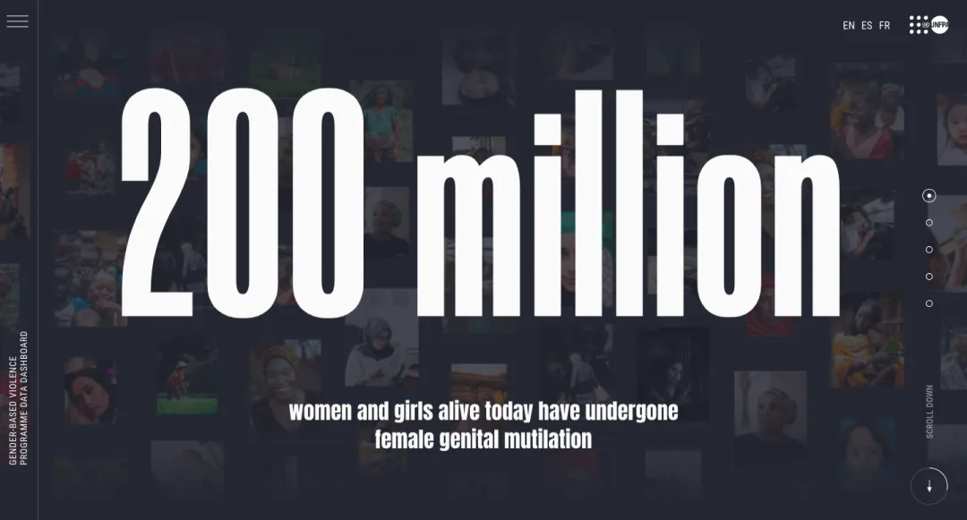 unfpa-gbv-dashboard-1